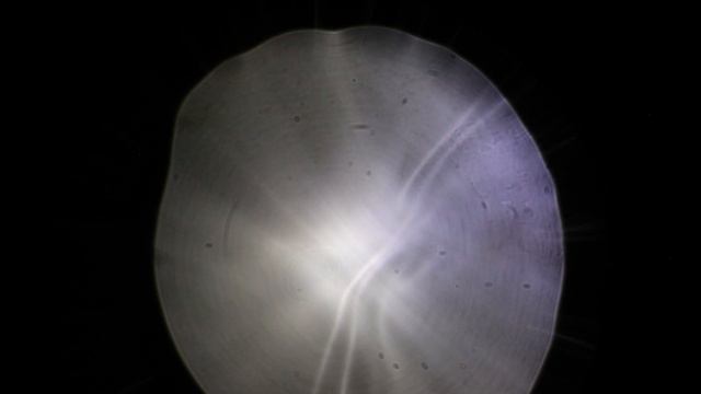 Home-made Schlieren смотреть онлайн