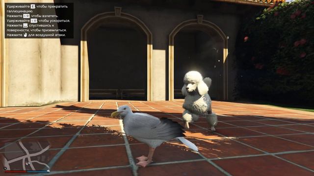 самое опасное животное в гта смотреть онлайн