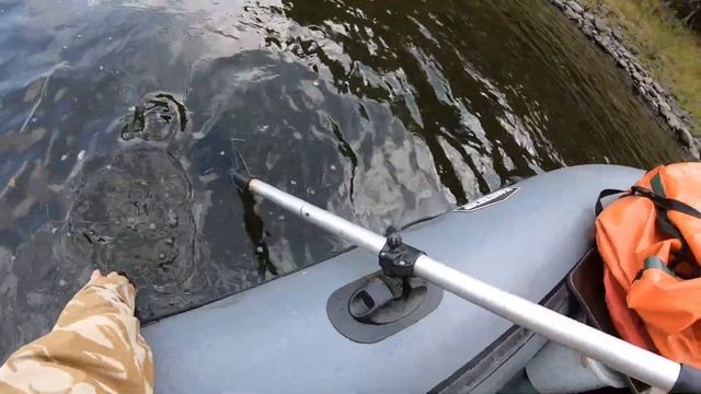 ТЫВА И ЖОР ТАЙМЕНЕЙ 2020!!!/ 1 СЕРИЯ- НАЧАЛО ПУТИ!!!/ ТАЙМЕНЬ 3 КГ НА МУШКУ!!! РЫБАЛКА - СПЛАВОМ!!! смотреть онлайн