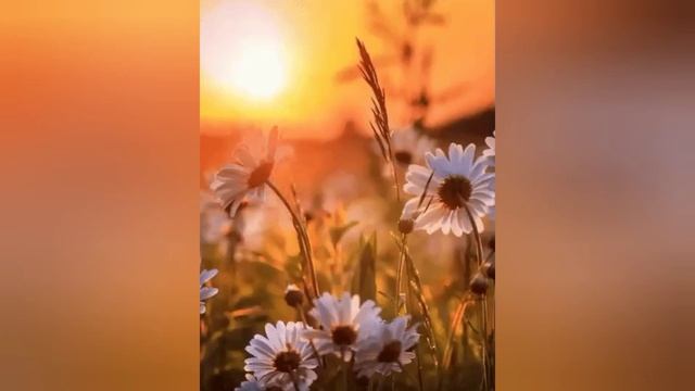 ОН УВИДЕЛ НАД ПЕНЯЩИМСЯ МОРЕМ САМУ БОГОРОДИЦУ, ОНА ШЛА К КОРАБЛЮ, А ЗАТЕМ ПОГРУЗИЛАСЬ В ВОЛНЫ.. смотреть онлайн