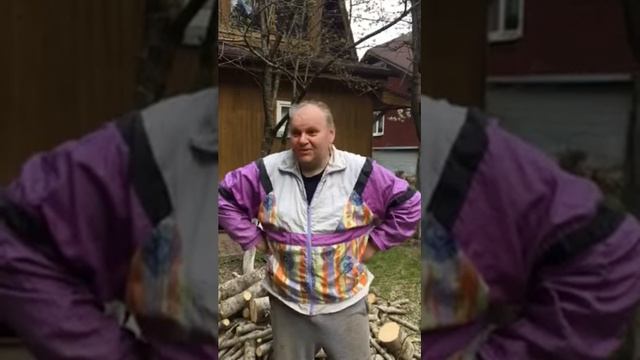 Удаление осины на участке