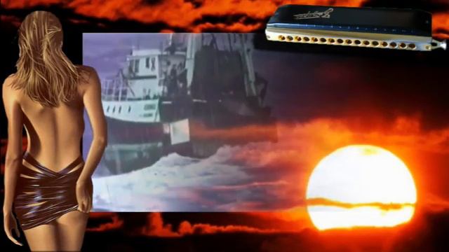 Goodbye my love goodbye - Adiós Amor Adiós - Harmonica chromatique смотреть онлайн