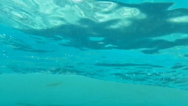 SOS (Save Our Souls) смотреть онлайн