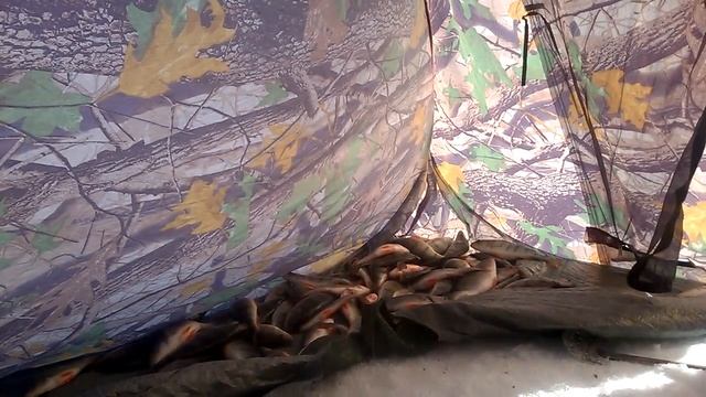 Зимняя рыбалка озеро ИК. ловля окуня март 2017 смотреть онлайн