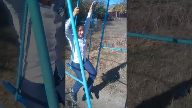 Как играть в игру слепой кот смотреть онлайн