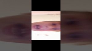 Эххх подпишись Пж ради меня