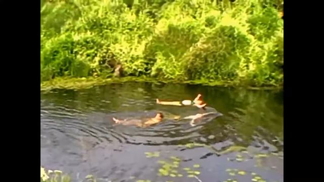 Лето в деревне. Прогулка на речку. смотреть онлайн