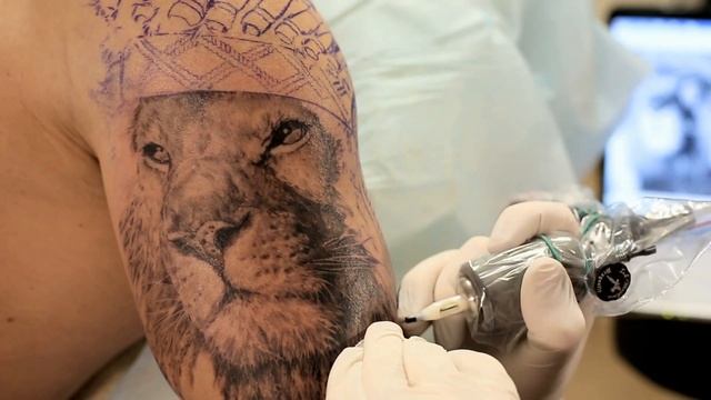 The growling lion tattoo · Татуировка рычащего льва смотреть онлайн