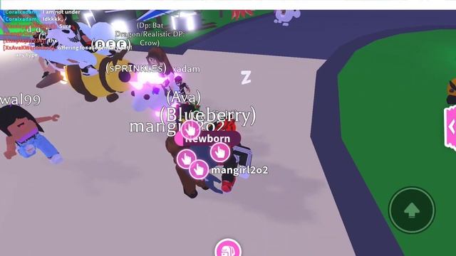 playing adopt me roblox trading my pets to get a fly pet смотреть онлайн