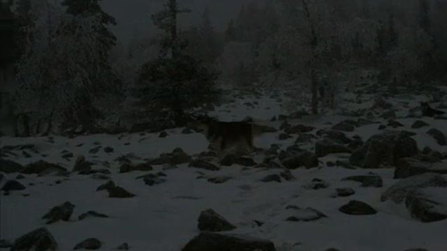 Поход на Ослянку смотреть онлайн