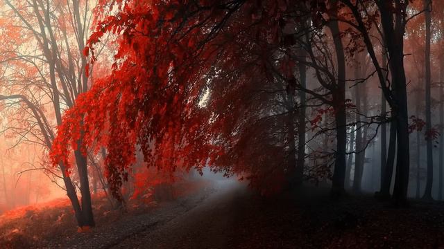 Beautiful Piano Music - Time to Let Go смотреть онлайн