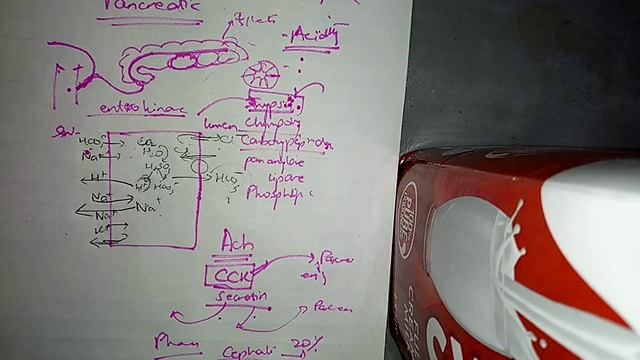 SECRETIONS of GIT ch 65 guyton fast review part 6 pancreatic secretions смотреть онлайн