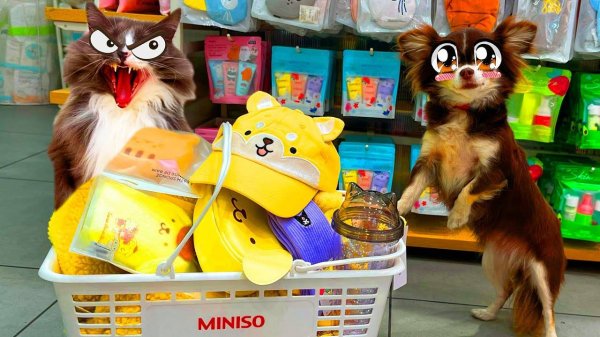 НАКУПИЛИ в японском магазине — ПОДАРКИ из Японии! 🛍️🎎