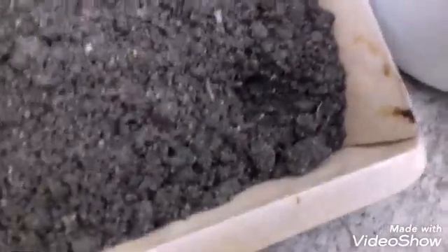 Что вырастит из Косточки вишни смотреть онлайн