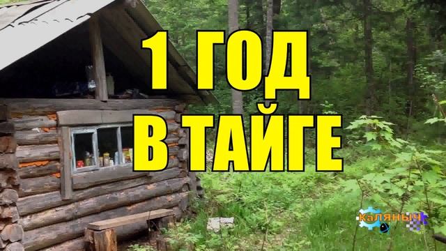 ГОД В ТАЙГЕ | МЕДВЕДЬ И СОЛДАТЫ | ЛЕСНЫЕ ЛЮДИ | ЖИЗНЬ В ТАЙГЕ смотреть онлайн