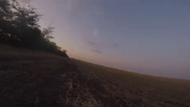 Охота с Английским Спаниелем смотреть онлайн