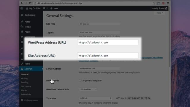 Changing Domain Names For WordPress смотреть онлайн