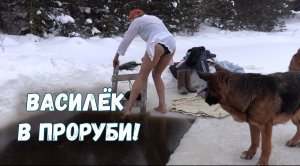 ВАСИЛЁК В ПРОРУБИ! 2024