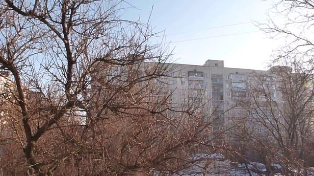 ПОЁТ МАЙЯ КРИСТАЛИНСКАЯ. СКОЛЬКО СОЛНЦА ! СКОЛЬКО НЕБА ! смотреть онлайн