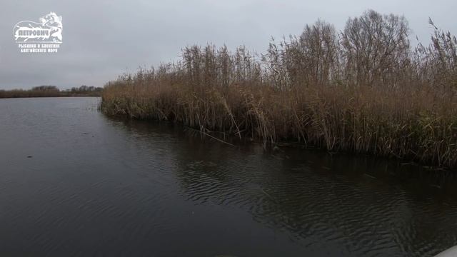 БОЛЬШОЙ УЛОВ VLOG:Щука. Поплавок. Ловля на живца. Ноябрь 2018. смотреть онлайн