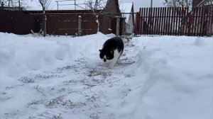 анука давайка первый снег!