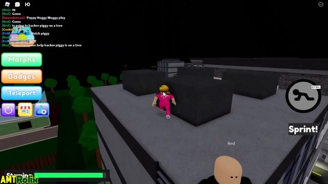 ALL 10 EGGS LOCATION in Find The Piggy Morphs - ROBLOX смотреть онлайн