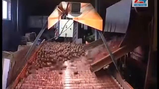 Завершается посадка картофеля смотреть онлайн
