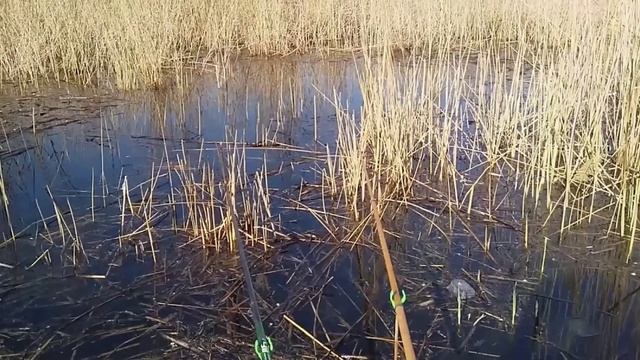 Хитрый рыбацкий способ, как просто найти рыбу без эхолота! смотреть онлайн