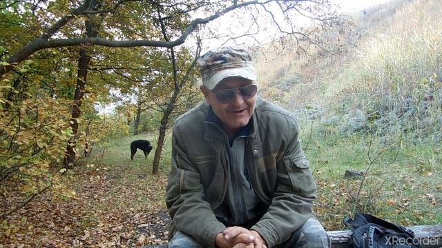 Отдать собаку на дрессировку с пансионом , будет ли результат. Кинолог Иволга. смотреть онлайн