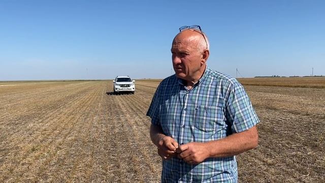 3 причины выращивать чечевицу смотреть онлайн