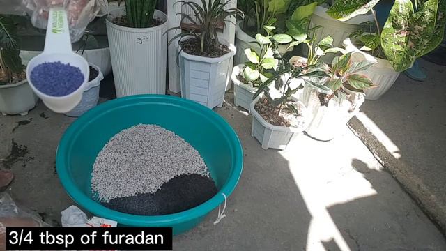 My Secret Potting Mix Soil《Vlog 017》PHILIPPINES смотреть онлайн