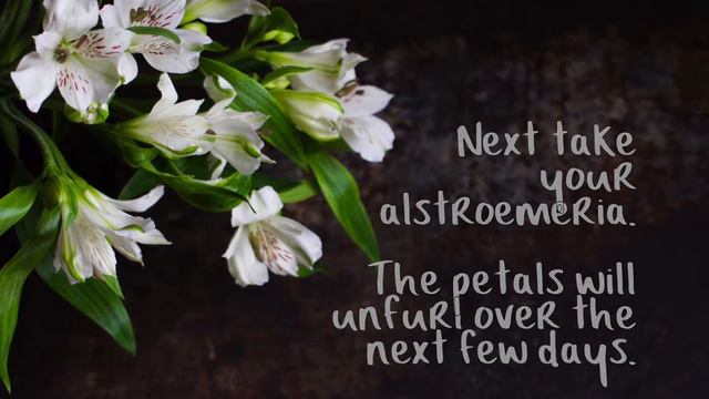 How to arrange sea lavender, phlox, lilies, alstroemeria смотреть онлайн