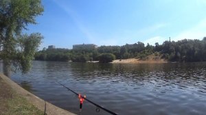 Ловля на фидер на реке летом. Пробую ловить леща и плотву. Рыбалка в Строгино 2020.