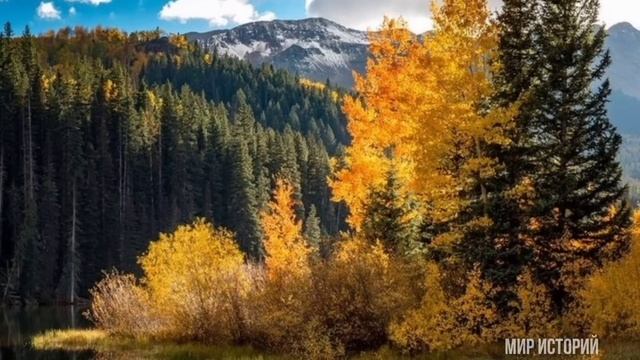 -фу, я ещё суп не варила.- сморщилась брезгливо любимая...