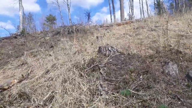 Поиск рогов смотреть онлайн