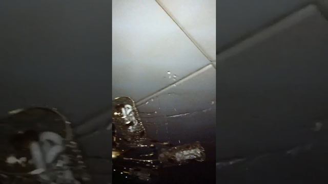 Потоп смотреть онлайн