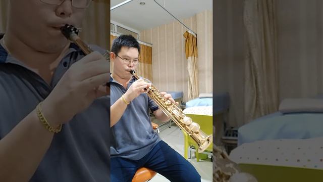 Loving you
(Kenny G)
Selmer mark VI soprano sax смотреть онлайн