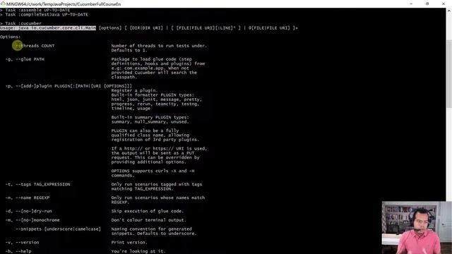 Complete Course of Cucumber for Java: Running Cucumber смотреть онлайн