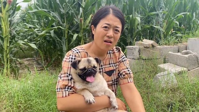 Blind Dog Takes A Bath And Shakes With Fear,Crying And Yelling Help Me смотреть онлайн