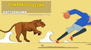 10 Советов, как пережить нападение диких животных