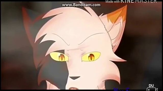 Коты Воители/ Песня: Над Вами смотреть онлайн