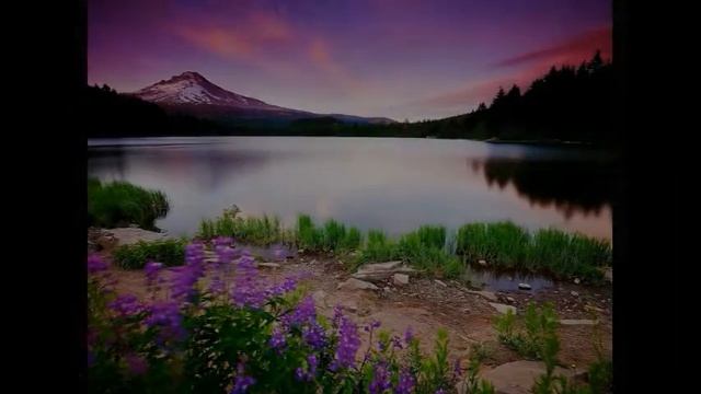 Может, вечная юность - не сказка. Песня Анны Зиминой смотреть онлайн