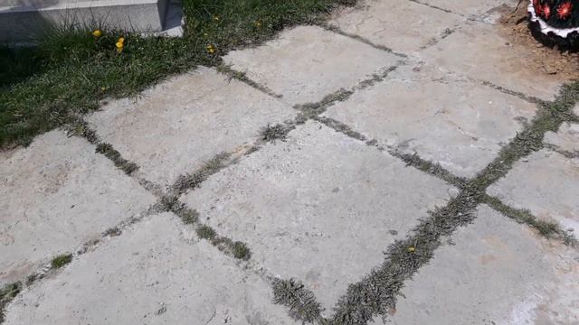 Деньги решают все. смотреть онлайн