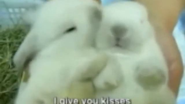ВОТ КАК НУЖНО ЛЮБИТЬ!! смотреть онлайн