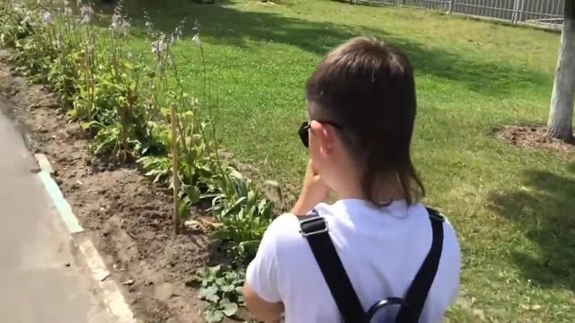 Клуб Тхэквондо Эридан на сдачи норм ГТО | Taekwondo Eridan on surrender standards GTO смотреть онлайн