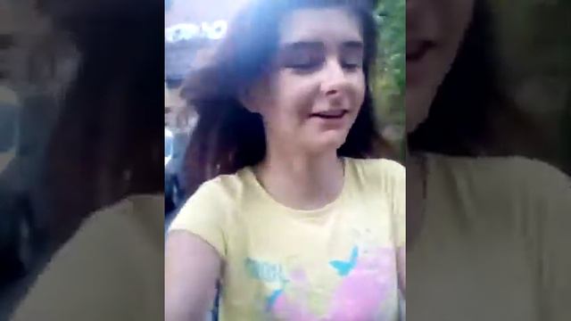 Идём гулять с собаками 🐕🐕🐕🐕 смотреть онлайн