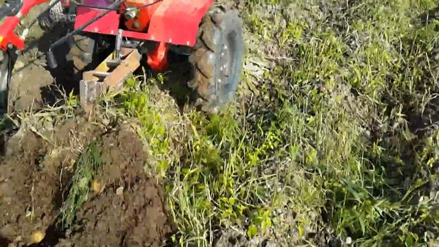 Копаем картошку мотоблоком   - ньюансы использумой навески  digging a potato with a tiller