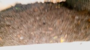 ПАН49. Внимание! Разведение червей для рыбалки должно быть правильным!