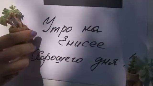 Умелые макромир смотреть онлайн