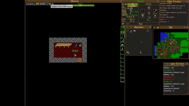 Dransik - Ashen Empires в 2д